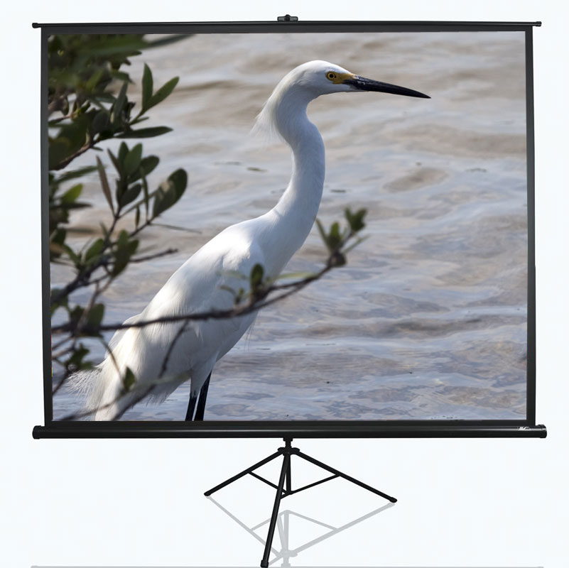 Elite Screens - Tripod Series - T100UWV1 - Diagonal 100 " - 4:3 - Viewable screen width (W) 203 cm - Black