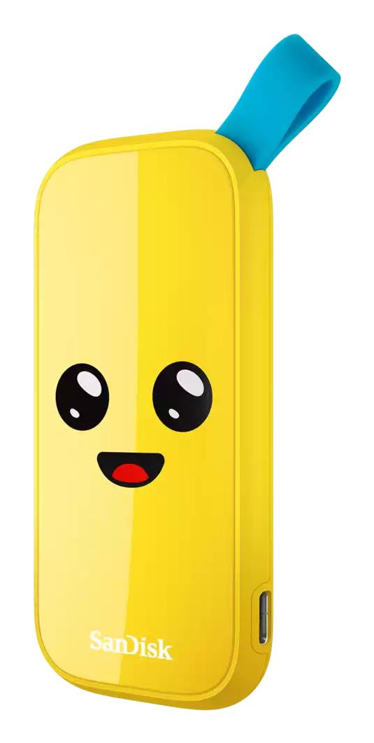 External SSD|SANDISK|2TB|USB 3.2|Read speed 800 MBytes/sec|SDSSDE30-2T00-G25F