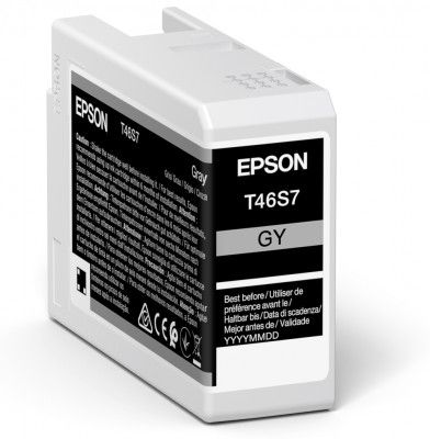 Epson UltraChrome Pro 10 ink - T46S7 - Ink cartrige - Grey
