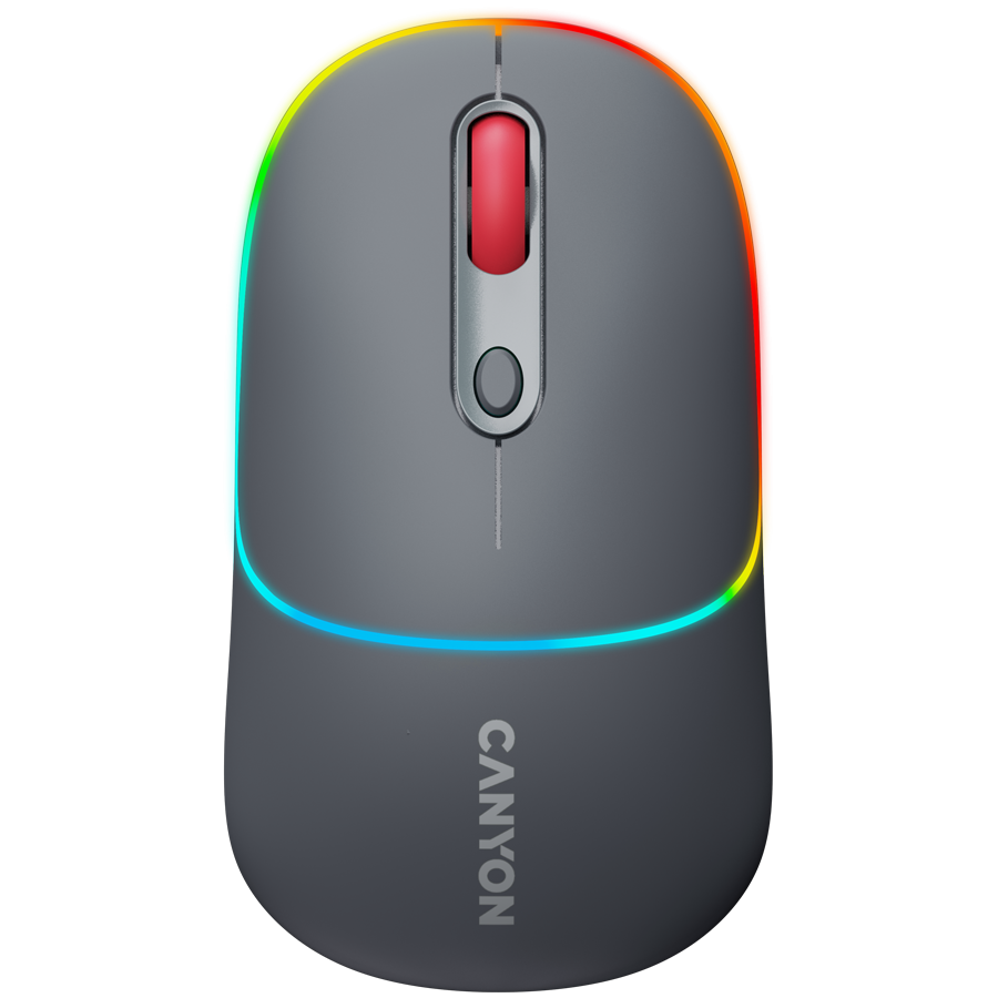 CANYON mouse MW-22 2in1 BT/ Wireless Dark Grey