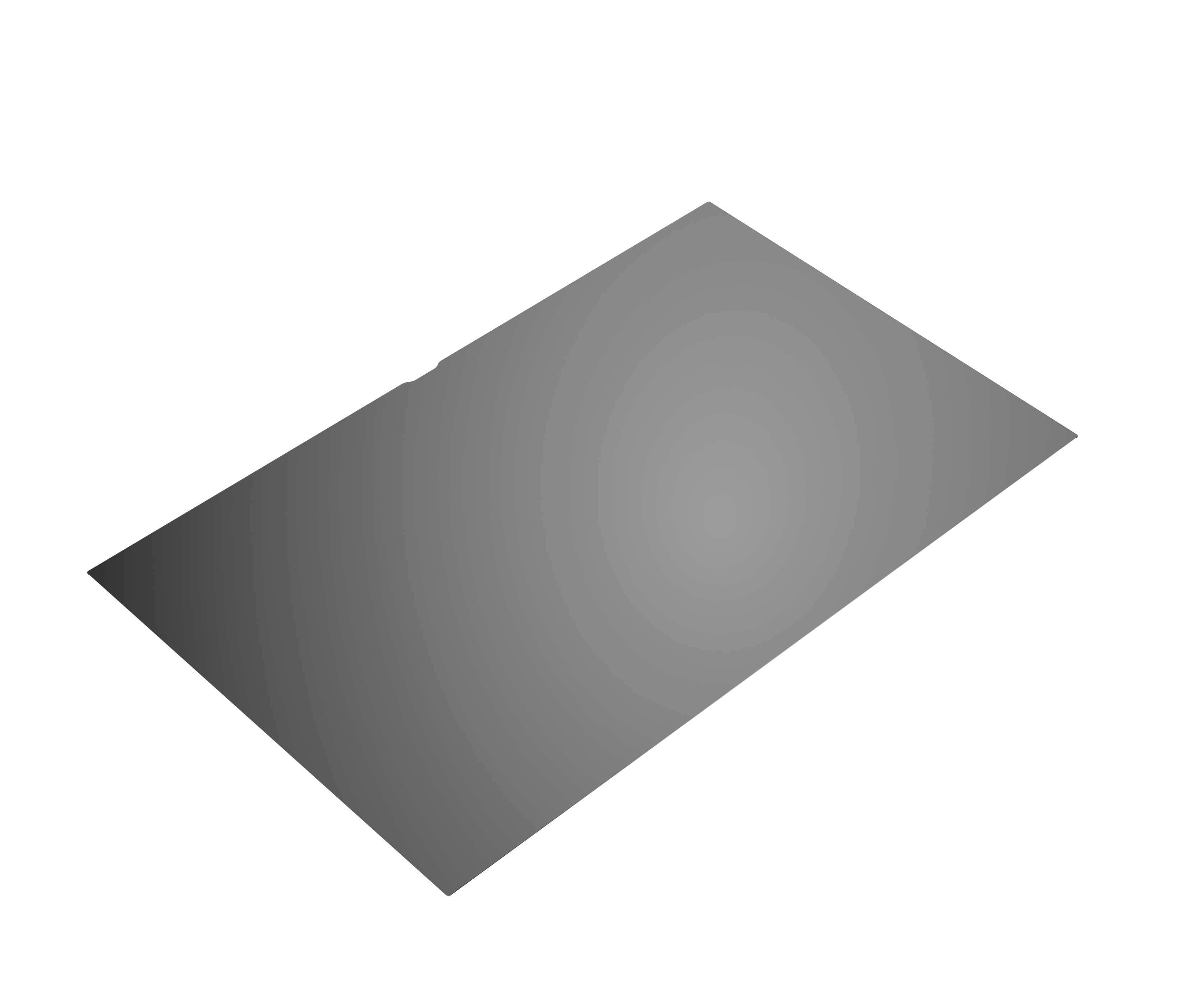 HP 14-in Notebook Privacy Filter 16:10