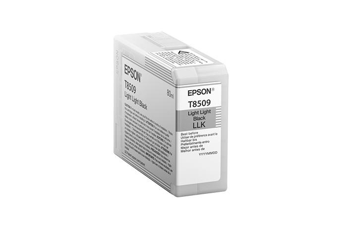 Epson T850900 - Ink Cartridge - Light Black