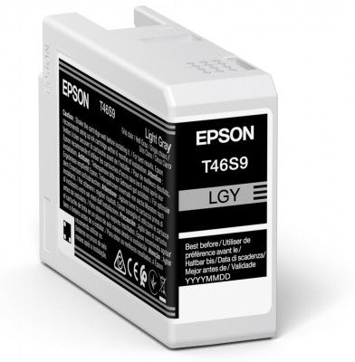 Epson UltraChrome Pro 10 ink - T46S9 - Ink cartrige - Light Gray