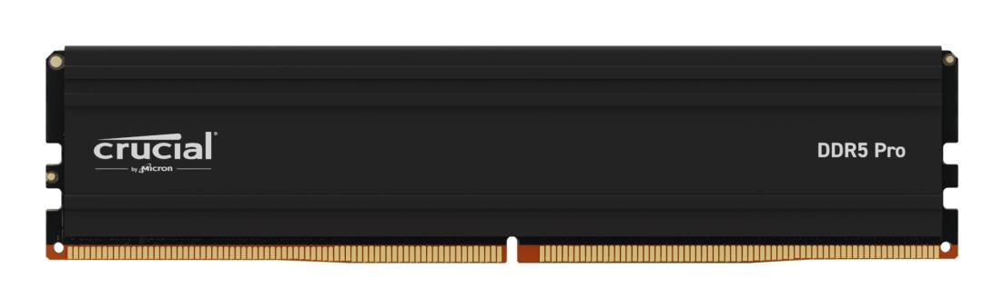 MEMORY DIMM PRO 24GB DDR5-5600/CP24G56C46U5 CRUCIAL