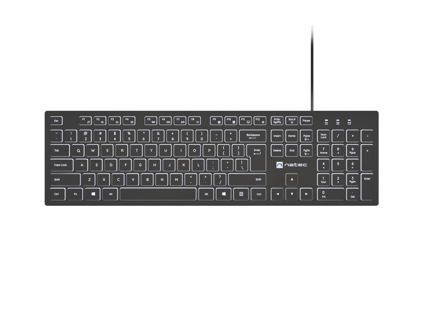 Natec - Herring Glow - Keyboard - Wired - US - Black