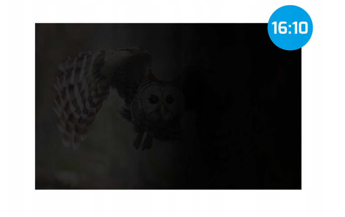 Natec - Privacy Filter Owl, 14", 16:10 - NFP-2477