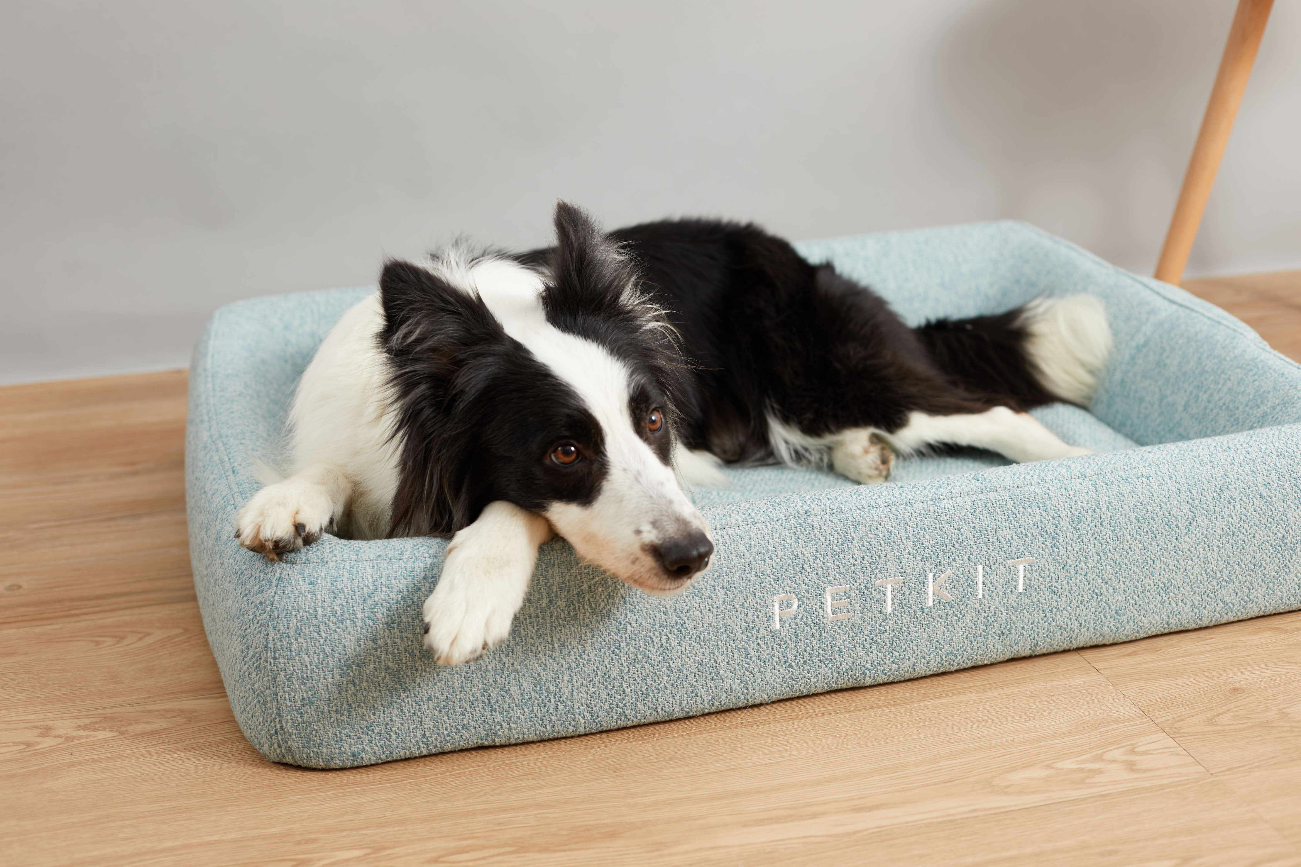 PETKIT - Deep Sleep All Season Pet Bed L - Green