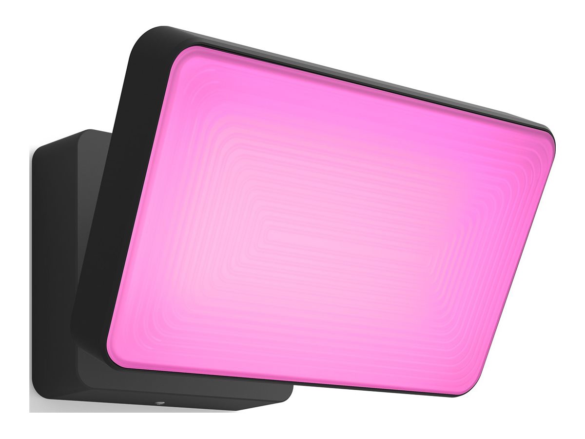 Philips Hue WCA Discover Outdoor Floodlight - 2000-6500 Hue White Colour Ambiance