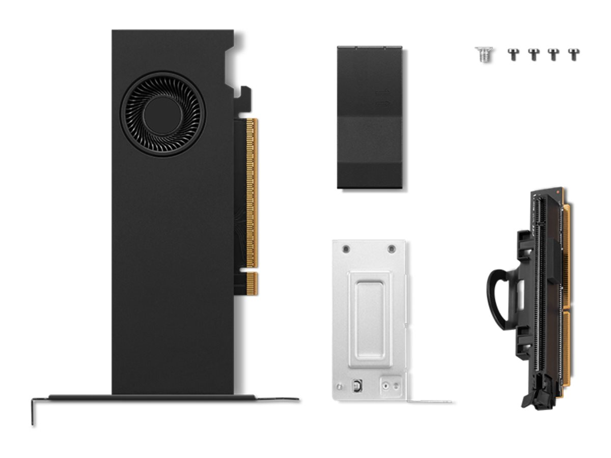 Lenovo Graphics card - NVIDIA - 16 GB - RTX PRO 2000 Blackwell - GDDR7 - PCI Express 5.0 x8
