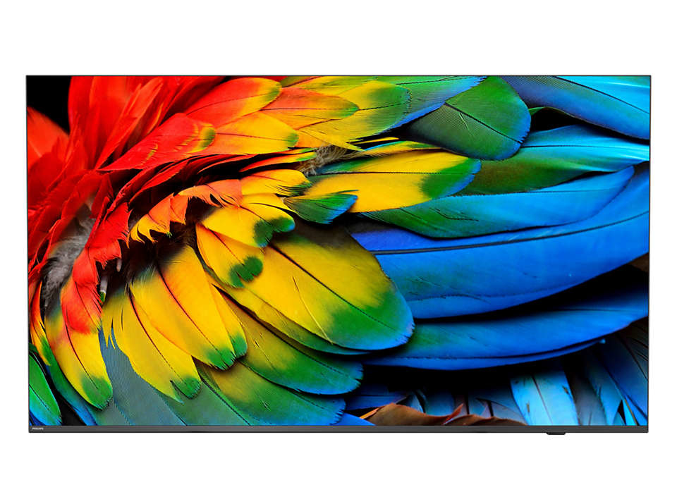 43” Business TV, 4K UHD, Chromecast built-in, Google Play Store, DVB-C/T/T2 Tuner, HDMI, Scheduler, Auto on/off, Crestron Connected Certified v2, Neets/Extron compatible, CMND Create & Contro