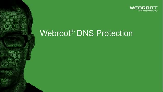 Webroot - DNS Protection with GSM Console - 2 year(s) - License quantity 10-99 user(s)