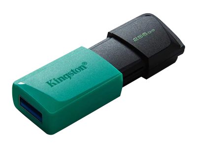 Kingston - USB Flash Drive - DataTraveler Exodia - 256 GB - USB Type-A - Black/Teal