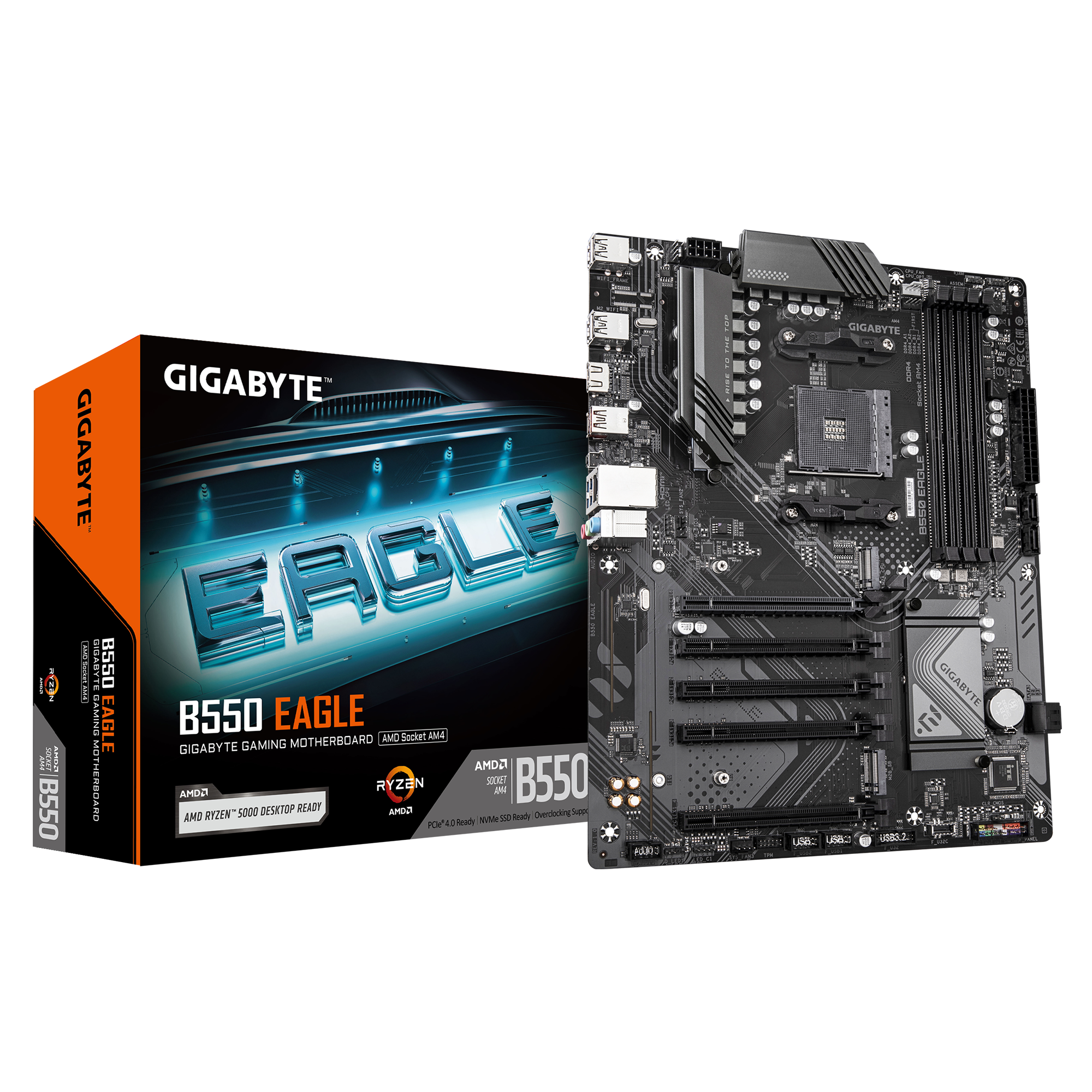 Gigabyte B550 EAGLE - Processor family AMD - Processor socket AM4 - DDR4 - Supported hard disk drive interfaces SATA, M.2 - Number of SATA connectors 4