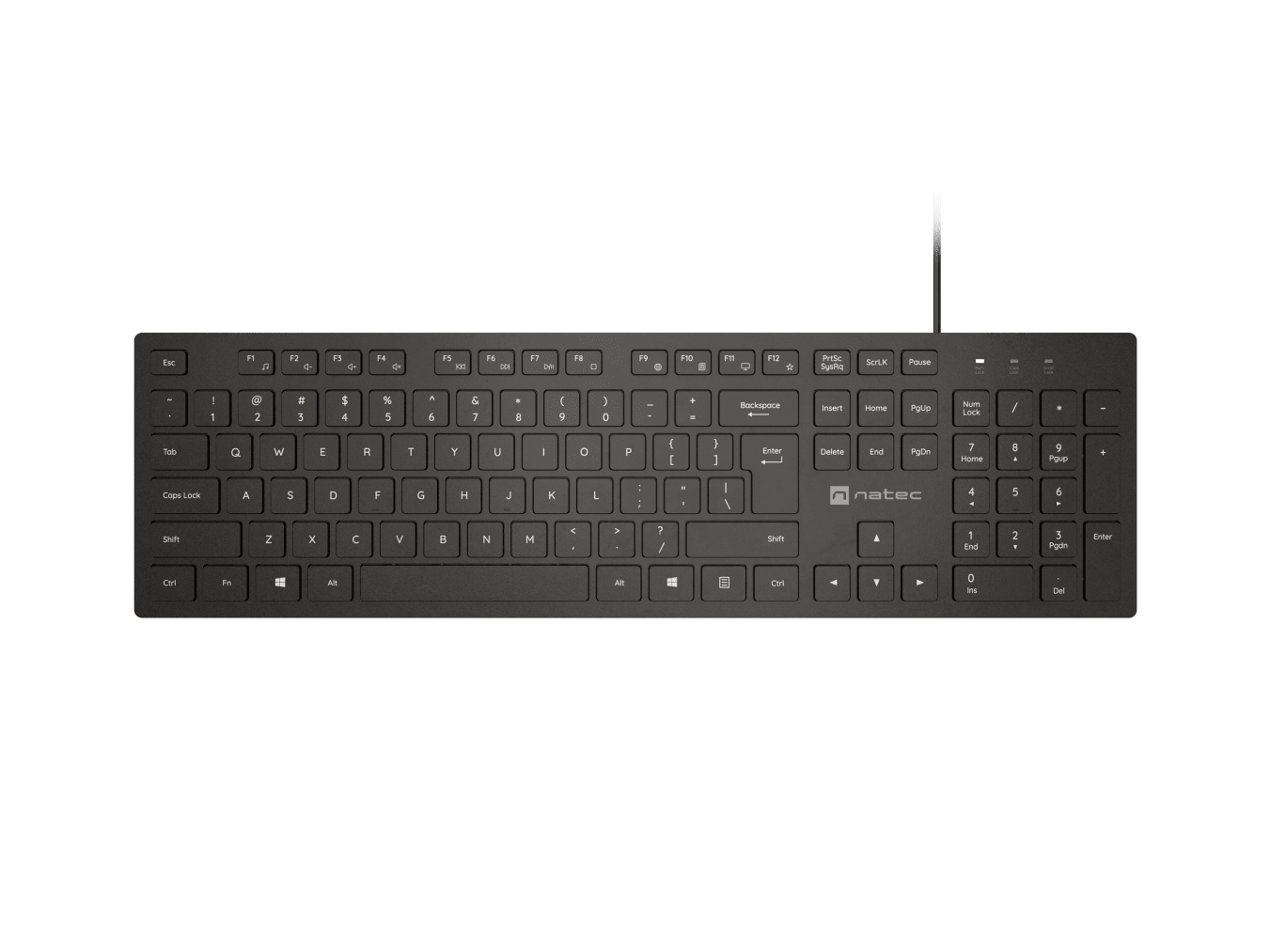 Natec - Herring - Keyboard - Wired - US - Black