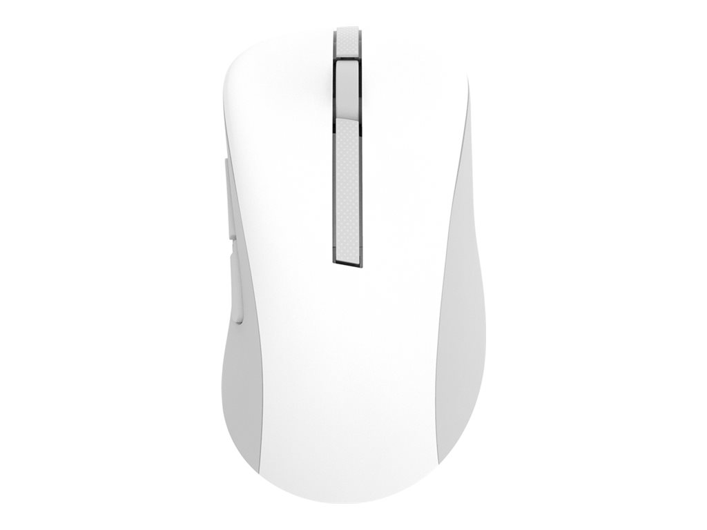 Asus Wireless Mouse - MD102 - Mouse - 2.4 GHz, Bluetooth - White