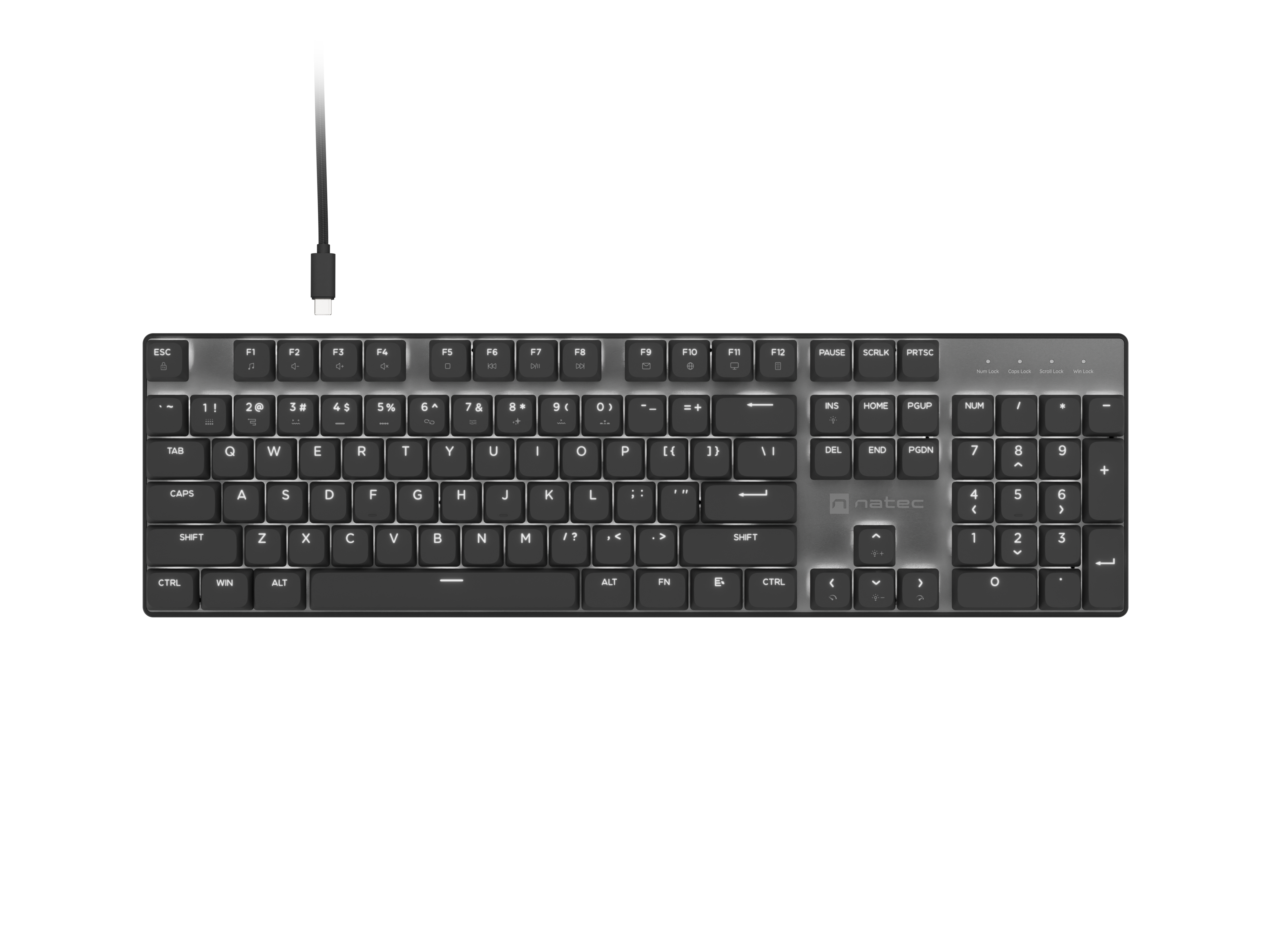 Natec Amberjack - Keyboard - Wired - US - Linear - White backlight, Hot-swappable switches, Anti-ghosting, Built-in memory, Macro recording - Black/Gray