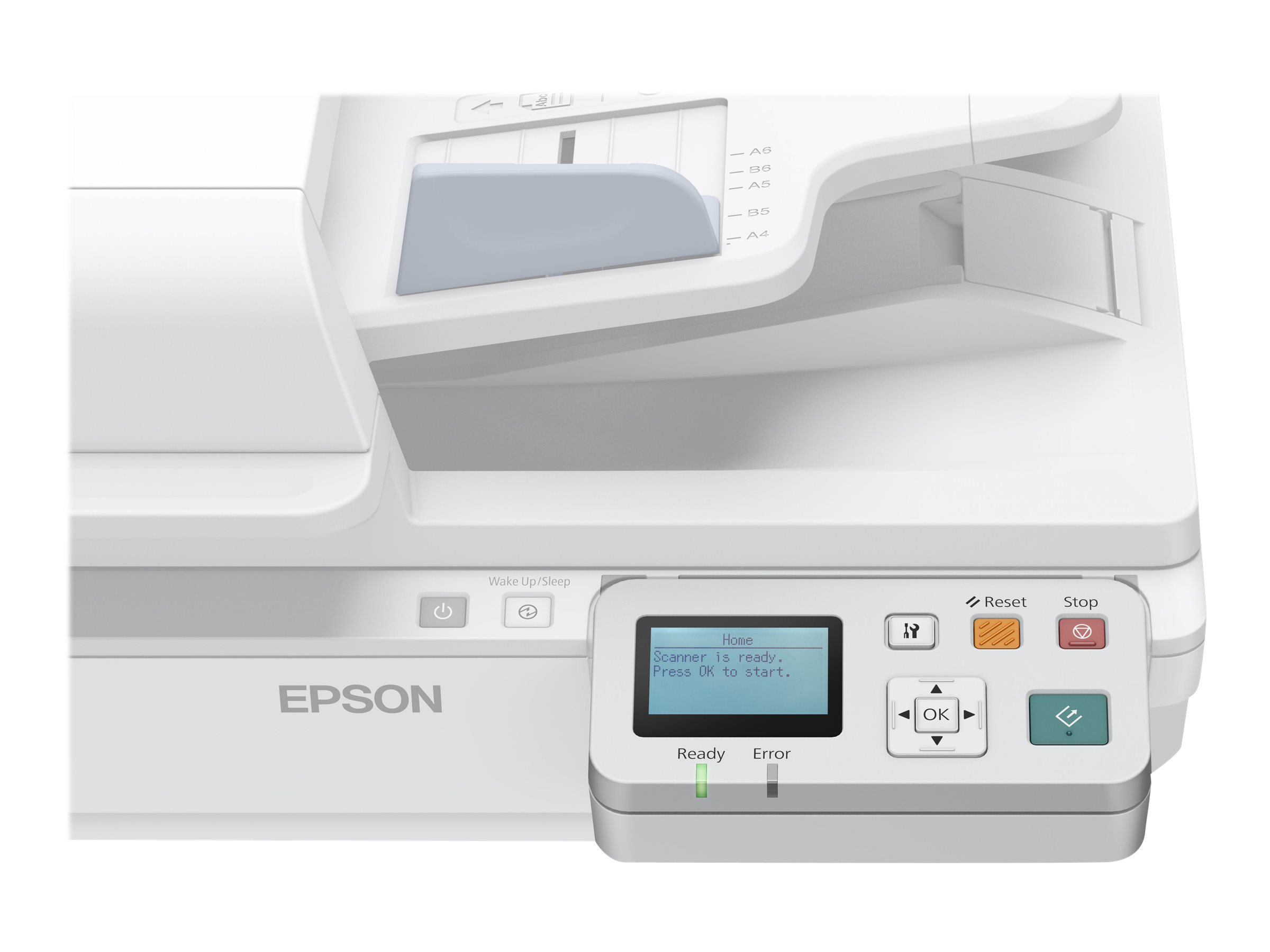 Epson - Network Interface Panel